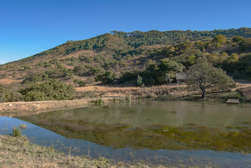 Obraz premium The rural landscape around eManzana (formerly Badplaas) in Mpumalanga Province, South Africa