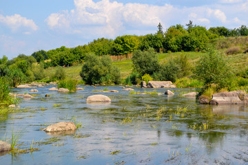 Mountain river with stones against the background of forest and blue sky. River rapids. Strong...