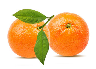 Fresh oranges with leaves isolated on white background with clipping path
