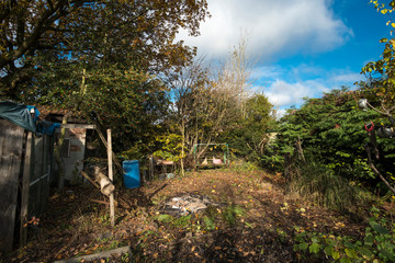 Untidy messy garden background