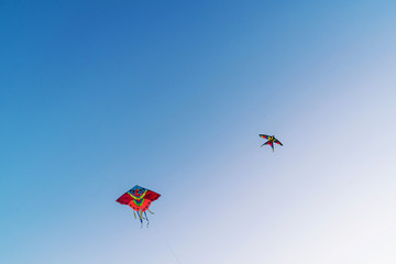 Fototapeta na wymiar Colorful kite flying in the blue sky