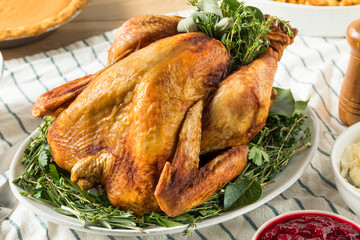 Homemade Thanksgiving Turkey Dinner with Potatoes