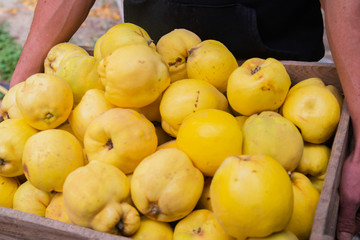 Quince fruit in a basket close-up