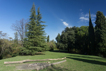 panoramic view of a park