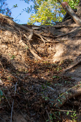 A path in the park by the sea in early autumn