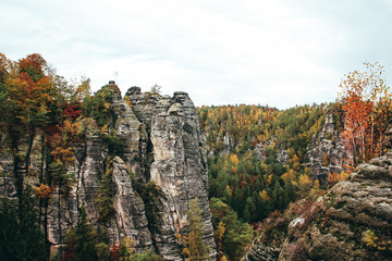 Autumn moments