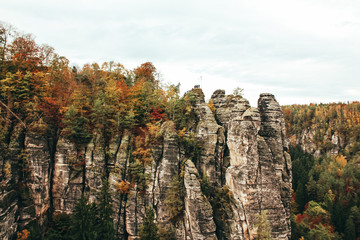 Autumn moments