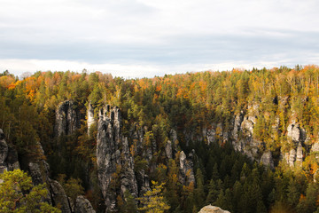 Autumn moments