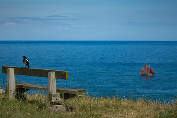 Beautiful Brixham landscape from Berry Head Brixham Devon looking out to sea