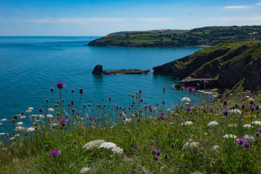 Beautiful Brixham landscape from Berry Head Brixham Devon looking out to sea