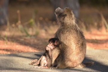 mother and baby