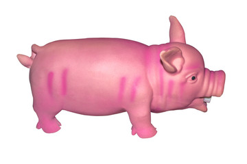 Dog toy red grunting pig isolated on white background