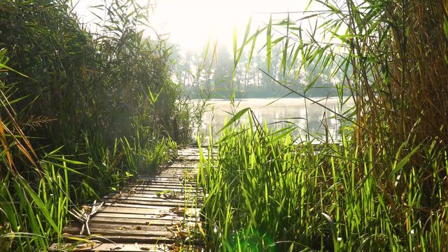 Sunrise on the riverbank. Landscape with wooden bridge among reeds and smoke on the water.