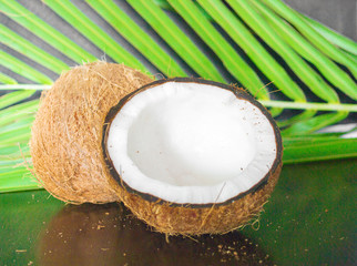 coconut composition, wallpaper and texture