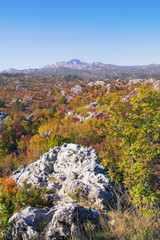 Autumn. Beautiful mountain landscape on sunny day. Montenegro, Dinaric Alps. View of  Lovcen National Park and Lovcen mountain