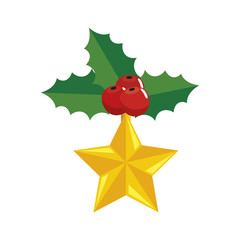 leafs with seeds decoration christmas with star vector illustration design