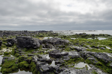 Ytri Tunga Beach, Iceland