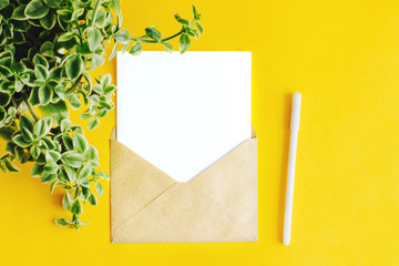 A white sheet in a letter envelope.