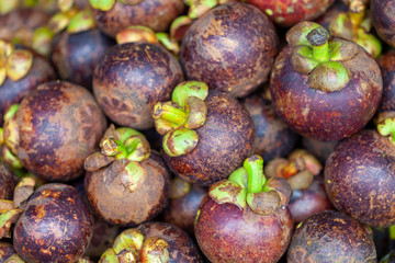 Pile of mangosteen, the queen of fruits. Those fruits are found all over South East Asia and are juicy and delicious.