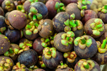 Fototapeta na wymiar Pile of mangosteen, the queen of fruits. Those fruits are found all over South East Asia and are juicy and delicious.