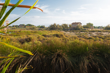 Rural french farmhouse on a wetlands landscape in La Camargue, France