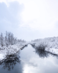 Winter landscape of a calm river and trees covered of first snow. Room for text. (copy space)