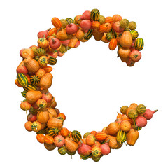 Pumpkins font, letter C from squashes. 3D rendering