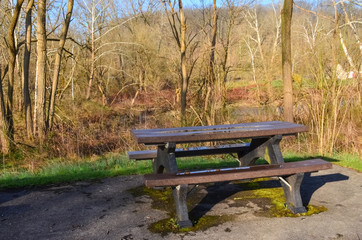 Wet Table and benches for relaxing in the forest after rain.