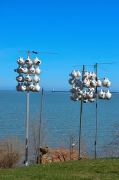Nests for birds. Lorain Harbor, Ohio, USA