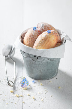 Sweet Madeleine Cookies Baked In A Fluted Tin Or Mould