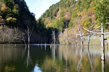 大滝村自然湖