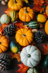 Group of colorful halloween decoration pumpkins at brown background. Varieties of pumpkins and...