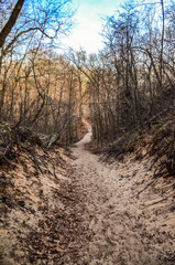 Fototapeta premium A path with traces of tourists from a large sand dune in a state park. Indiana Dunes National Lakeshore, USA