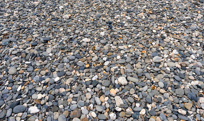 a paradise for Steien collectors on the beach of the Pacific Ocean