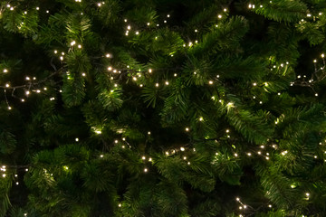 Dark Christmas tree close-up background with sparkle. Christmas night background with lights on a...