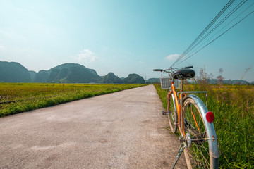 Fototapeta na wymiar Close up of bike near a rice field in the beautiful countryside of rural Vietnam