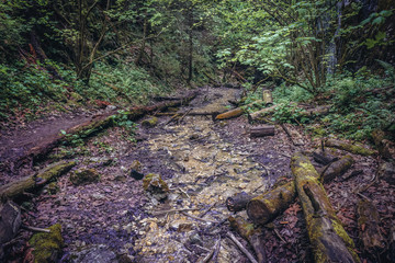 One way trail called Monastery Gorge in Slovak Paradise mountain range in Slovakia