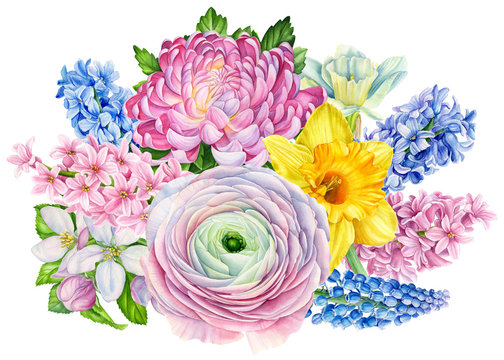 beautiful bouquet of flowers from narcissus,  lily, apple flowers, ranunculus, hyacinth, tulip on an isolated white background, watercolor, hand-drawing, botanical painting