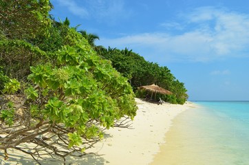 Fototapeta na wymiar Ukulhas Paradise Beach in Maldives