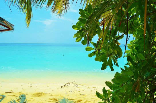 beach of the paradise island of Ukulhas in the Maldives