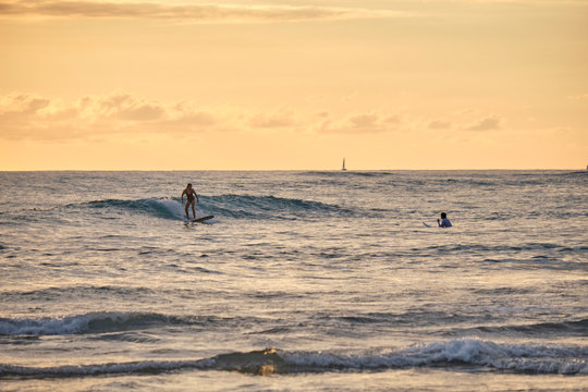 Surfers catching wave coming in at Waikiki