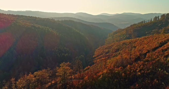 Autumn forest drone aerial shot at sunset. Overhead view of foliage trees in Hungary, Matra. Inspiring autumn season landscape panorama.