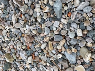 pebbles on the beach
