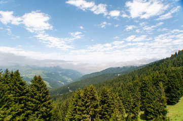 Fototapeta premium mountains and forest