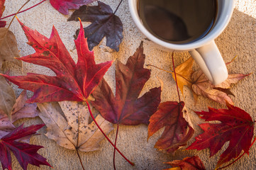 Cup of coffe along with some red dry maple leaves on a rustic surface