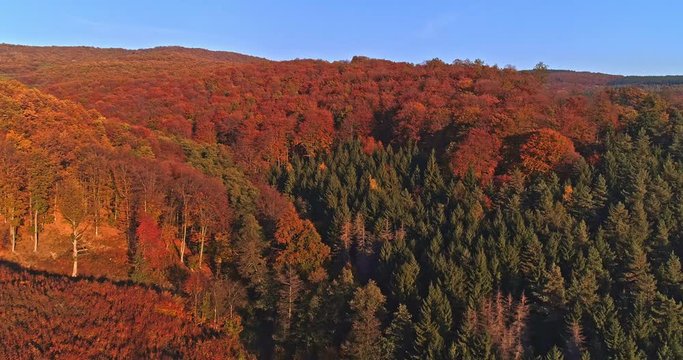 Autumn forest drone aerial shot at sunset. Overhead view of foliage trees in Hungary, Matra. Inspiring autumn season landscape panorama.