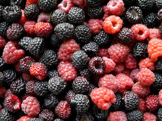 Background of black and red raspberries. Useful berry. Cumberlin and pink raspberries.