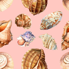 summer sea seamless pattern, set of seashells on an pink background, watercolor, hand-drawing, painting