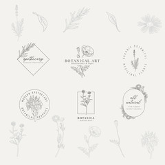 Set of 6 botanical logos. Hand drawn botanical illustrations with various plants and herbs. - obrazy, fototapety, plakaty