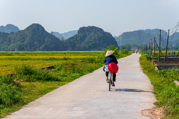 A local Tam Coc resident rides along a small road beside Rice Fields and beautiful mountain landscapes in Ninh Binh, Northern Vietnam - Autumn 2019